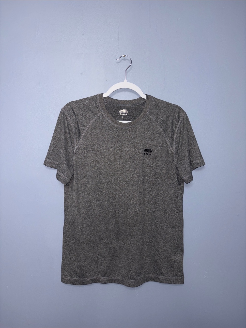 Roots • Gray T-Shirt